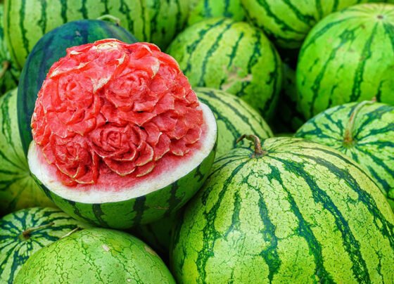 Tarbuz Ki Kheti Kaise Kare ?