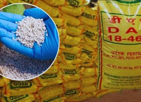 Veshvik tanav se urea or DAP ki badhti kimato se, buvai se pahle badhi bharat ki chinta