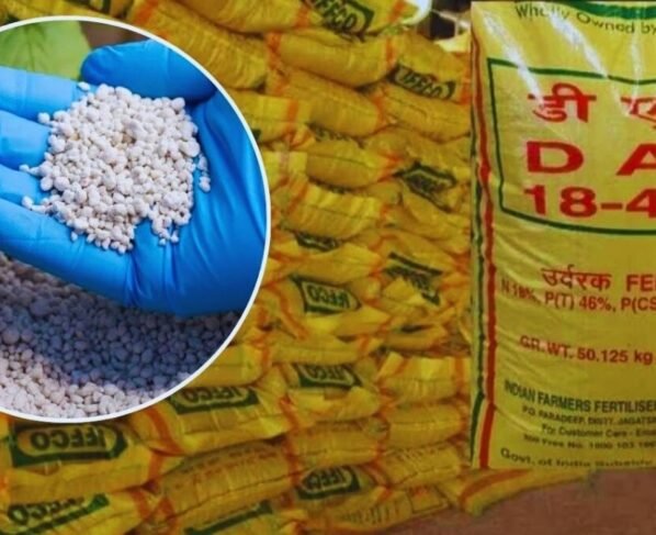 Veshvik tanav se urea or DAP ki badhti kimato se, buvai se pahle badhi bharat ki chinta