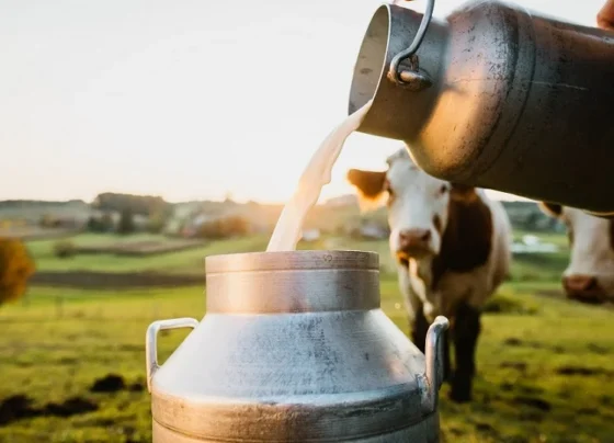 Dairy Farming Me Kaam Aane Wale Upkaran.