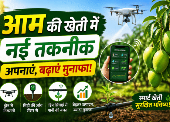 Aam Ki Kheti Me Nayi Taknik Ki Entry