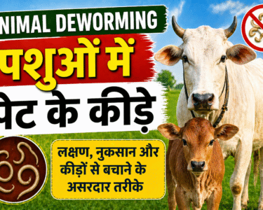 Animal Deworming