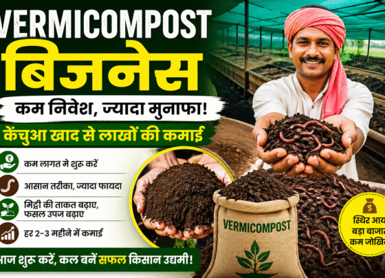 vermicompost Business