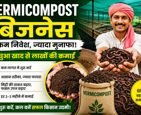 vermicompost Business