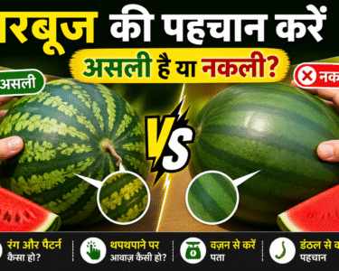 Tarbuj Asli He Ya Nakli Kese Pehchane