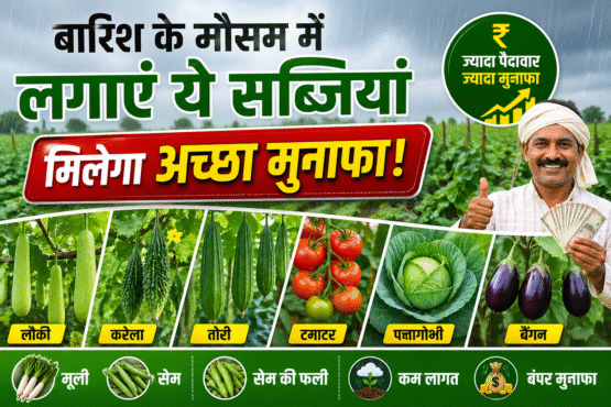 Barish Me Konsi Sabjiya Lgaye