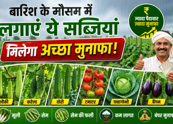 Barish Me Konsi Sabjiya Lgaye