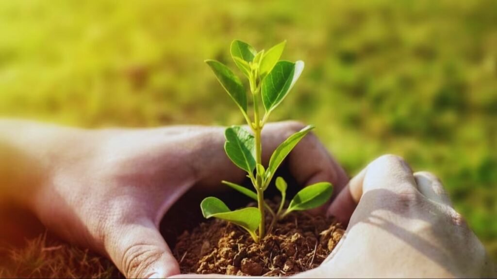 Jevik Kheti Kese Kare Or Iske Fayde Kya Hai?