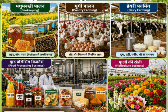 Top 10 Agriculture Idea