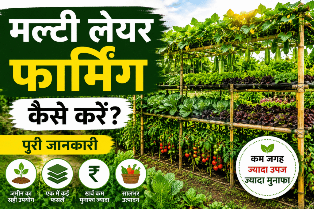  Multi Layer Farming Kese Kare