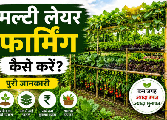 Multi Layer Farming Kese Kare