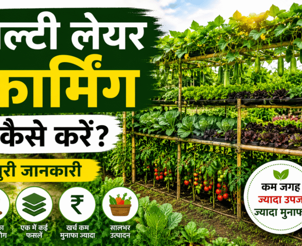 Multi Layer Farming Kese Kare