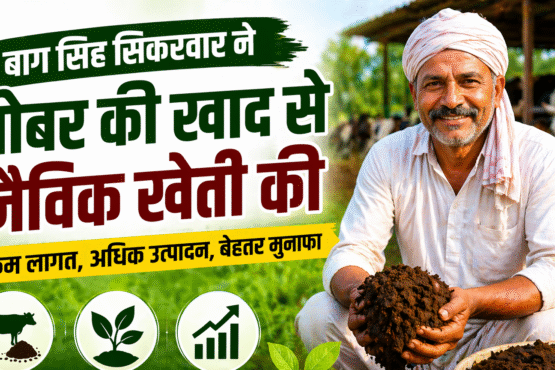 Gobar Khad Se Badali Kismat