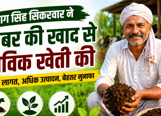 Gobar Khad Se Badali Kismat