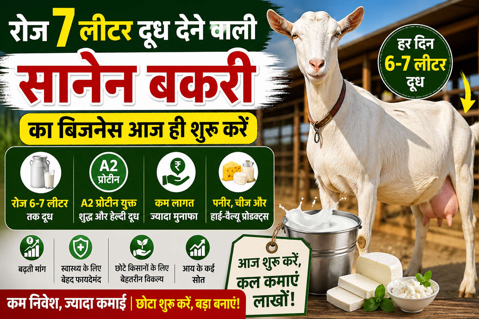 Roj 7 Lit. Dudh Dene Vali Bakari Ka Business रोज 7 लीटर दूध देने वाली ये ‘मिल्क क्वीन’ बकरी बना रही लखपति! आज ही शुरू करें ये धांसू बिजनेस