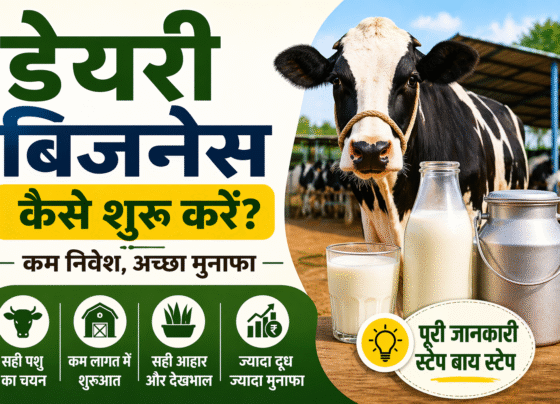 dairy business kaise shuru kare