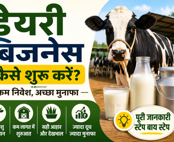 dairy business kaise shuru kare