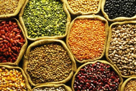 Kese Kare Dalhan Ki Kheti