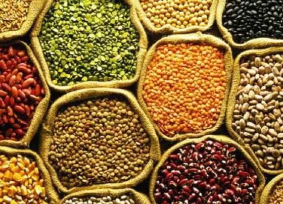 Kese Kare Dalhan Ki Kheti