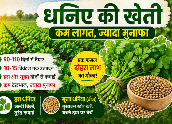 Ek Fasal Se Double Fayda