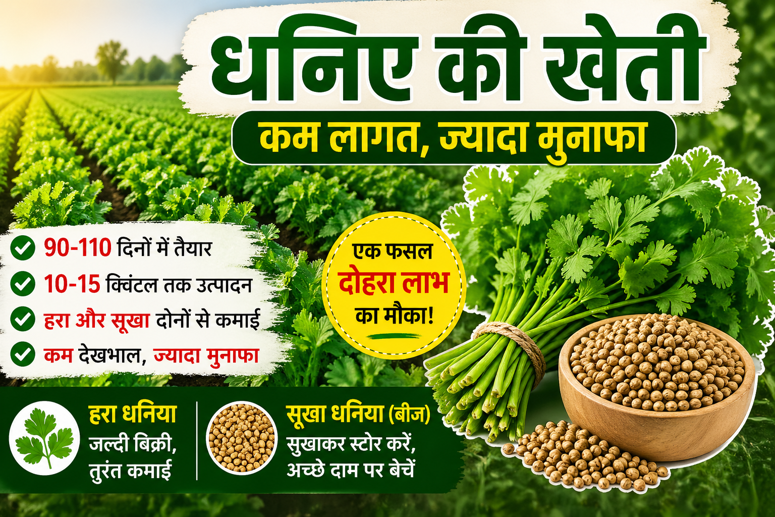 Ek Fasal Se Double Fayda एक ही फसल से दोहरी कमाई, इस खेती से 3 महीने में बंपर मुनाफा, जानें पूरा गणित