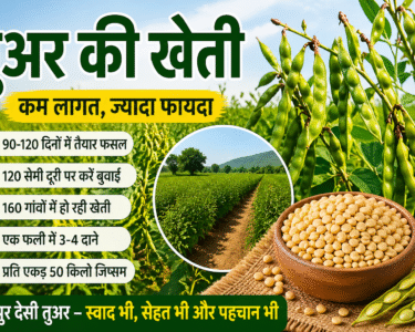 Tuar Ki Kheti Se Jyada Munafa