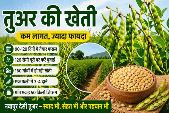 Tuar Ki Kheti Se Jyada Munafa