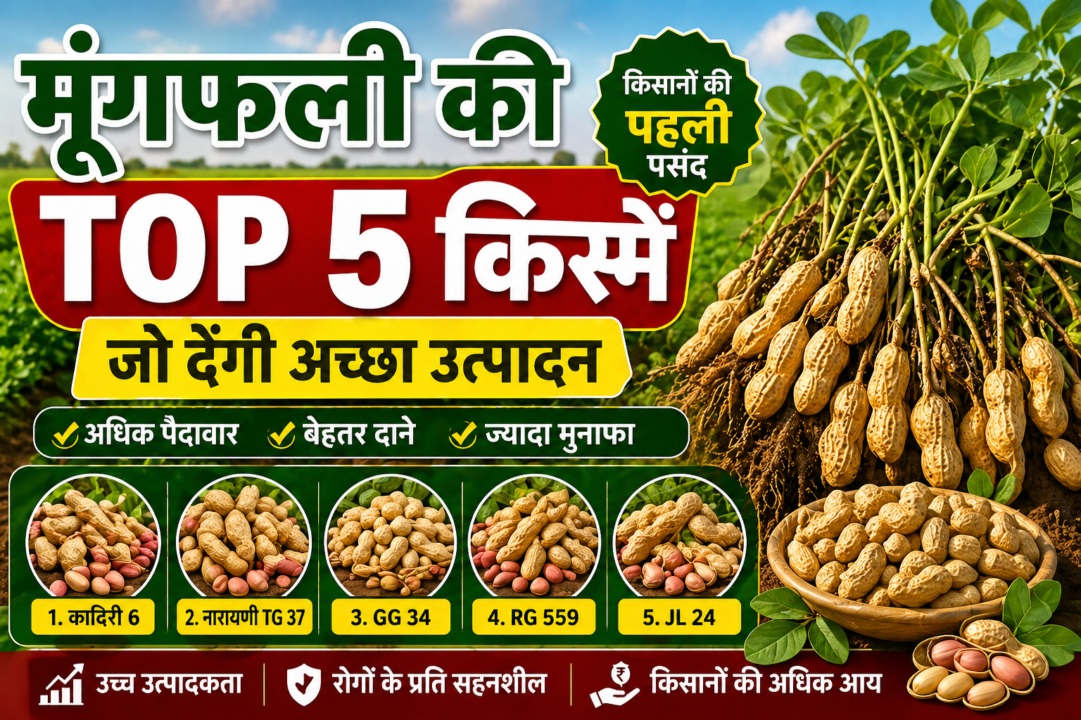 Mungfali Ki Top 5 variety मूंगफली की  टॉप 5 उन्नत किस्में