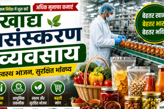 Food Processing Business Kese Shuru Kare