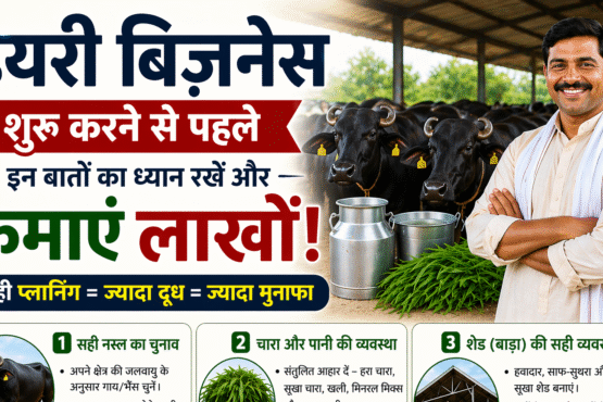 Dairy Business Shuru Karne Se Peahle Kin bato Ka dhayan Rkhe