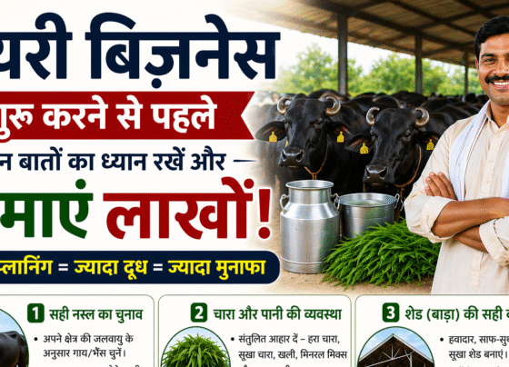 Dairy Business Shuru Karne Se Peahle Kin bato Ka dhayan Rkhe