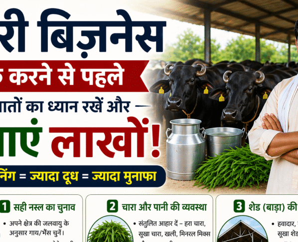 Dairy Business Shuru Karne Se Peahle Kin bato Ka dhayan Rkhe