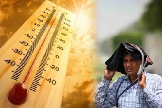 Bihar Se Rajasthan Tak Tapman 40 Par