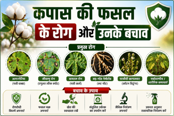 Kapas Ki Fasal Ke Rog