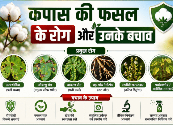 Kapas Ki Fasal Ke Rog