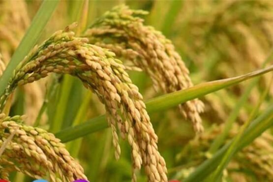 April Me Na Kare Ye Galti