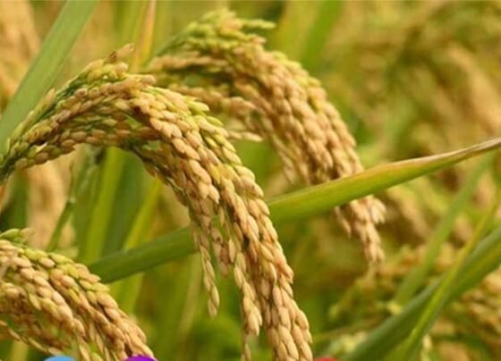 April Me Na Kare Ye Galti