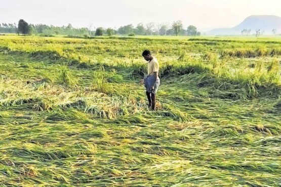 92% Barish Ne Bdahai Chinta