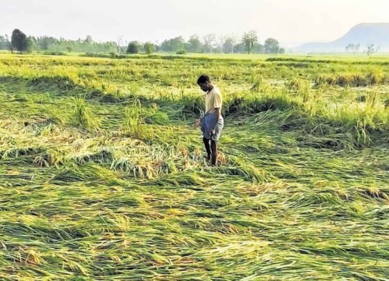 92% Barish Ne Bdahai Chinta