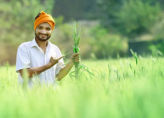 Kharif Faslo K Liye Taiyariya Hui Suru