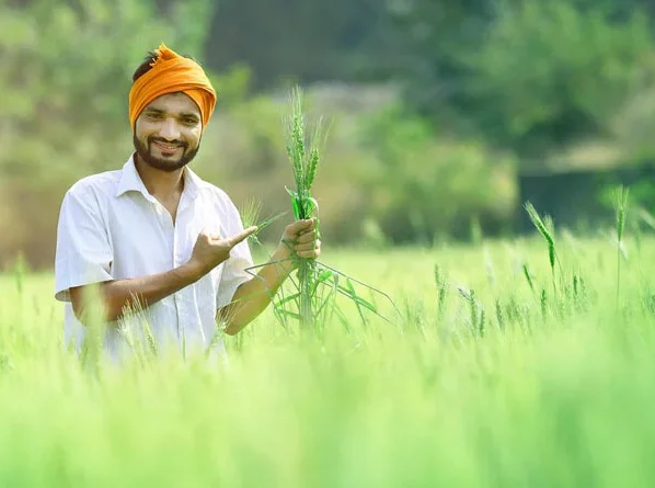 Kharif Faslo K Liye Taiyariya Hui Suru