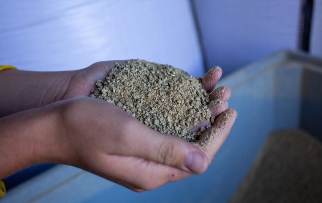 Gaay bhens ka doodh kese badhaye