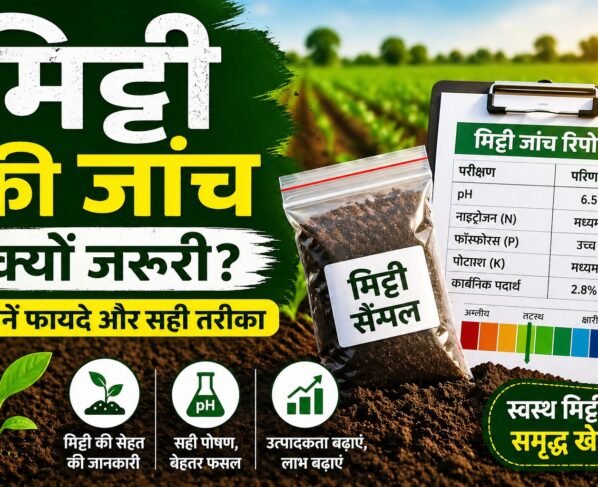 soil testing