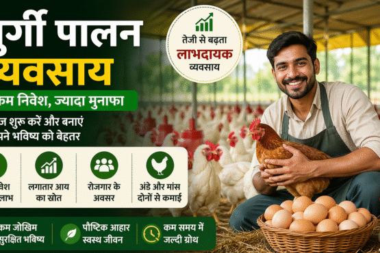 Murgi Palan Business Kese Shuru Kare