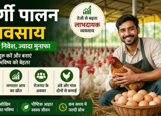 Murgi Palan Business Kese Shuru Kare