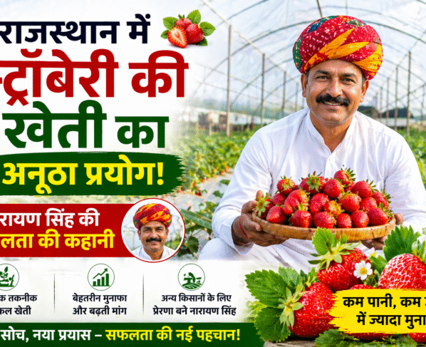 Success Story Of Strawberry Farmer Narayan Singh