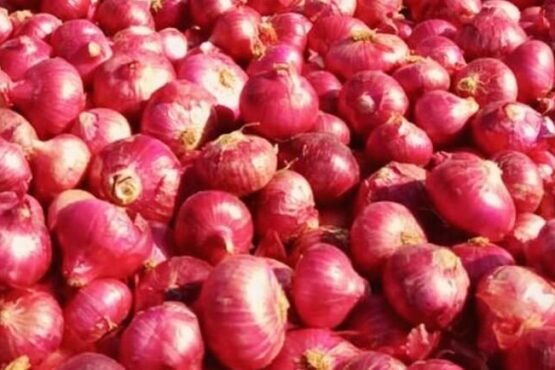 Pyaz Ke Bhav Kya Hai