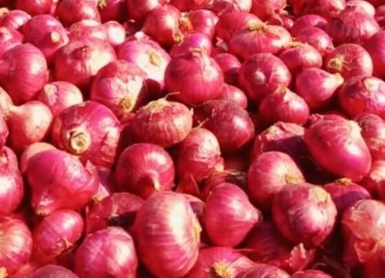 Pyaz Ke Bhav Kya Hai