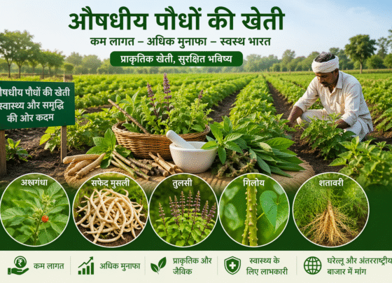 Oshdhiy Podho Ki Kheti Kese Kare