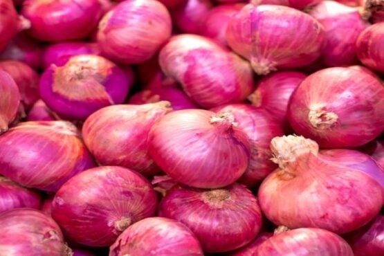 Kya Rhega Pyaj Ka Bhav